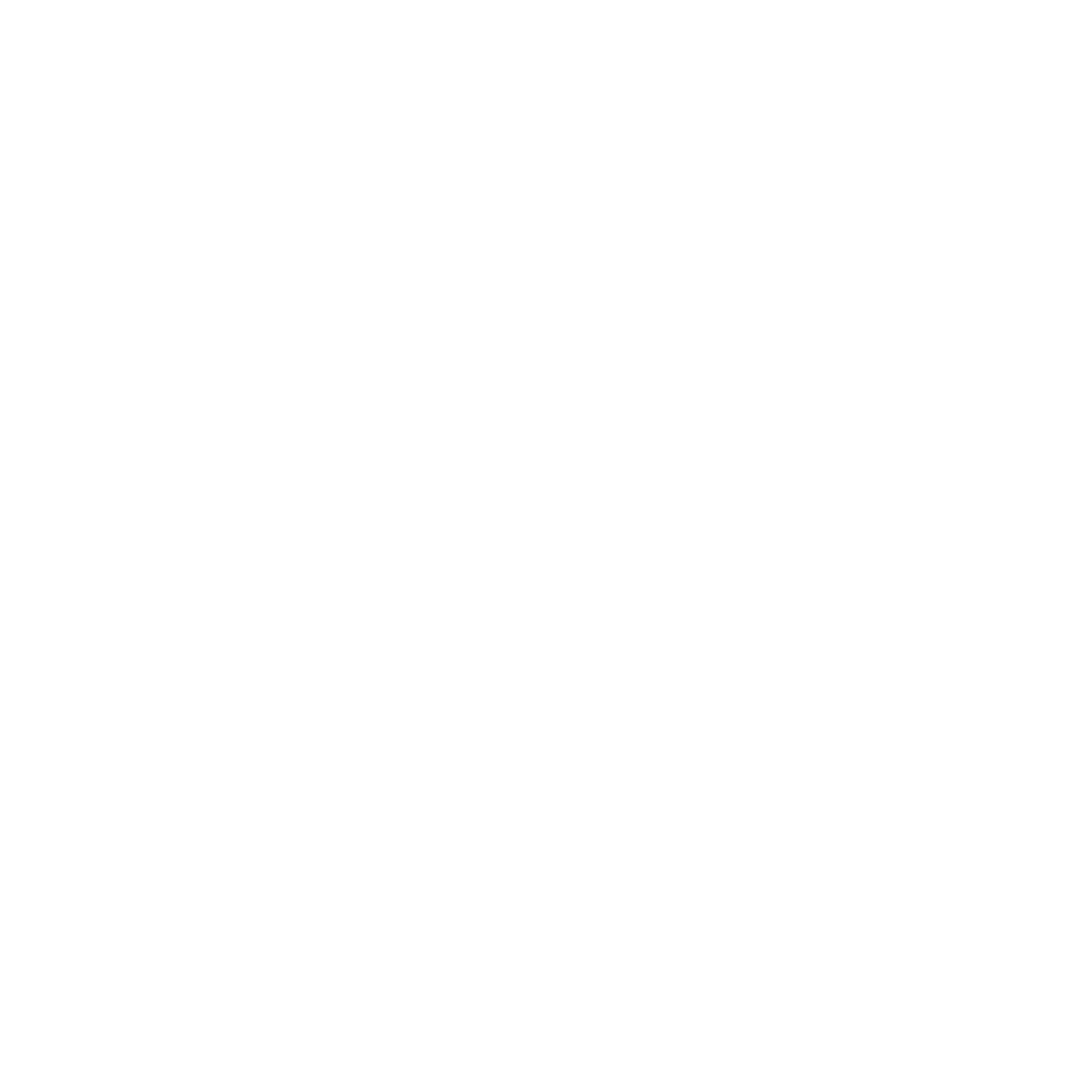 Netonic background logo